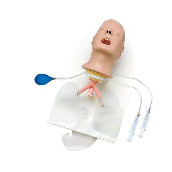 Manequim Cabeça de intubação Airway Larry